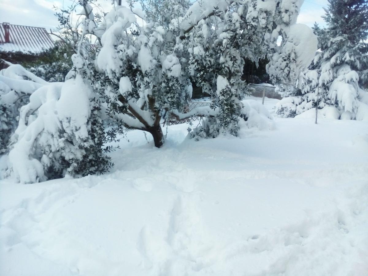 La Casa Di Ro Frühstückspension *